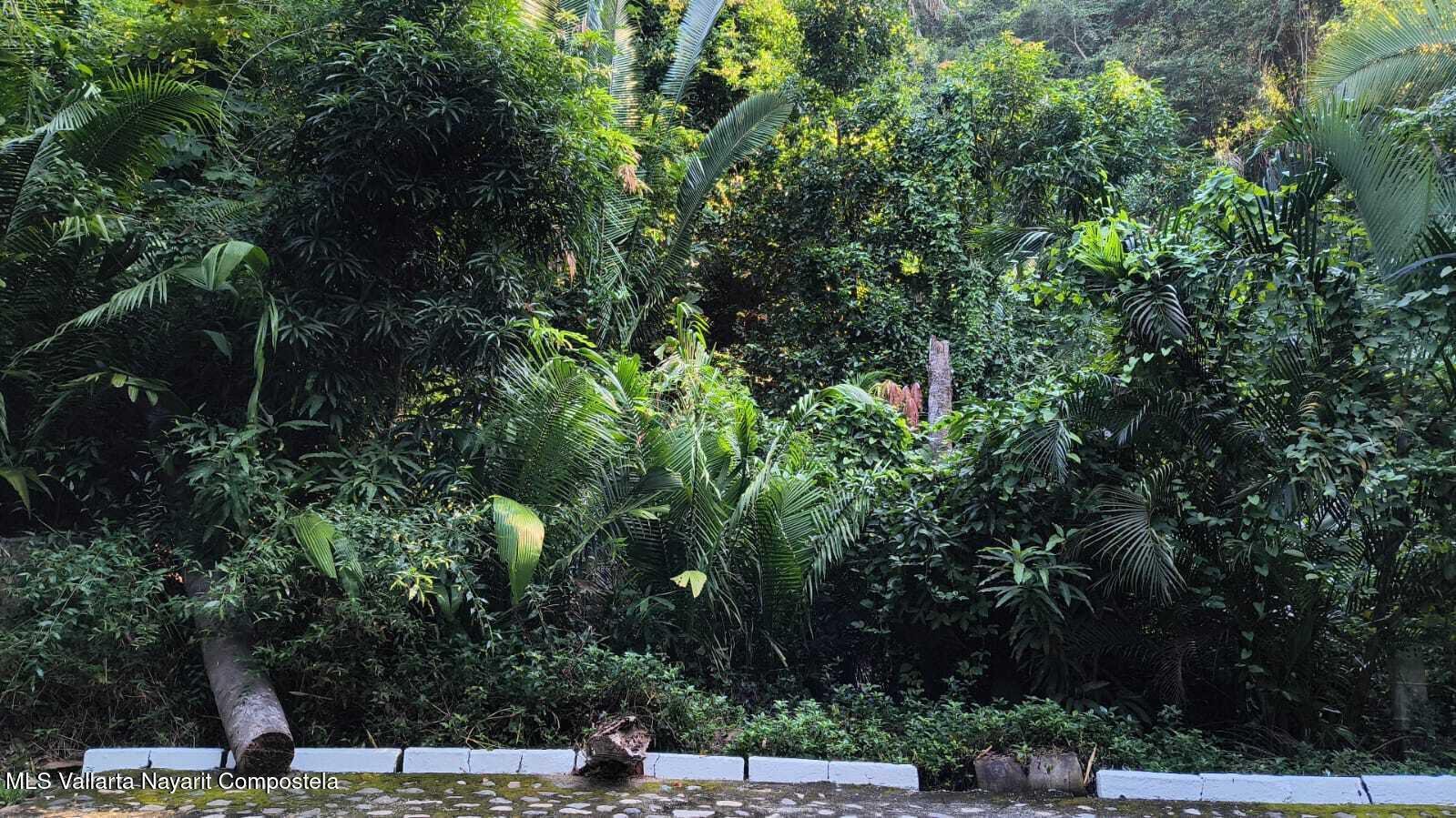 29 Carretera a Barra de Navidad, Puerto Vallarta, JALISCO N/A — Mismaloya