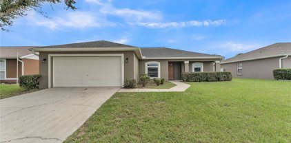 1322 Laurel Glen Drive, Bartow