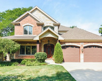 128 S Chestnut Avenue, Arlington Heights
