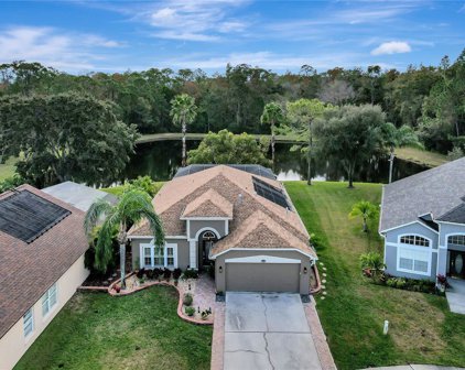 12552 Blazing Star Drive, Tampa