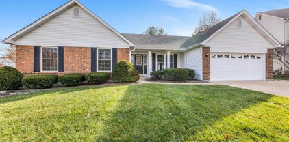 134 Calidian  Court, St Charles