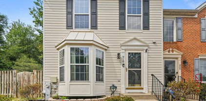 910 Chestnut Wood Ct, Chestnut Hill Cove