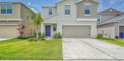 10204 Boggy Moss Drive, Riverview