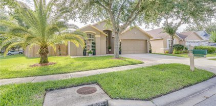 18944 Twinberry Drive, Tampa