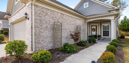 622 Larch Looper, Griffin
