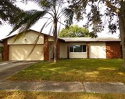 416 Hickory Tree Circle, Seffner image