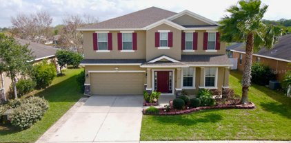 10648 Burning Bush Terrace, Land O' Lakes