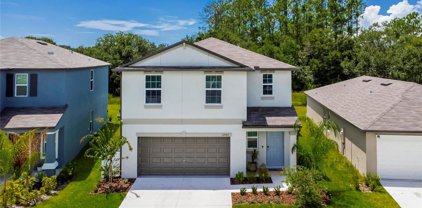 12729 Maple Bonsai Drive, Riverview