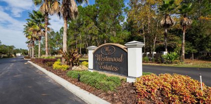8541 Woodleaf Boulevard, Wesley Chapel