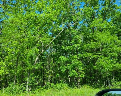 Lot 6 SE 265 Road, Knob Noster
