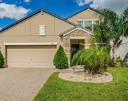 13341 Orca Sound Drive, Riverview image