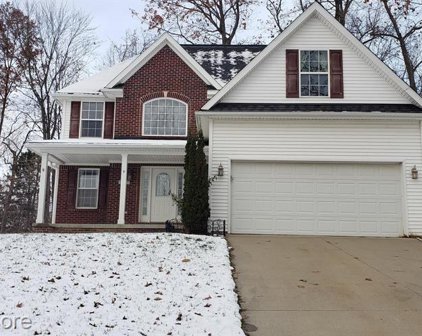 10477 VALLEY CREEK, Goodrich Vlg
