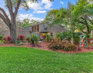 422 Montrose Avenue, Temple Terrace image