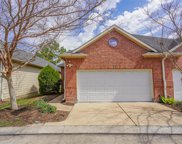 1005 Sweet Pine Drive, Katy image