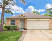 810 Autumn Point Lane, Spring image