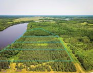 TBD 6 Town Road # 389, South Koochiching Unorg. Terr. image