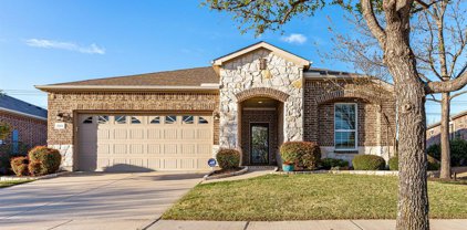 2804 Oyster Bay  Drive, Frisco