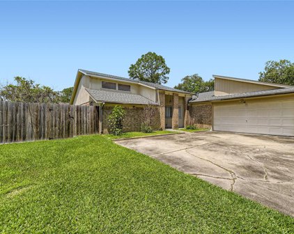 16419 Hickory Knoll Drive, Houston