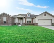 11027 Water Tower Drive, Needville image