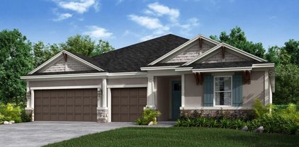 11116 Fieldstone Drive, Palmetto