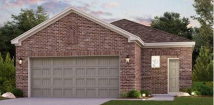 12272 Lady Eli Drive, Willis