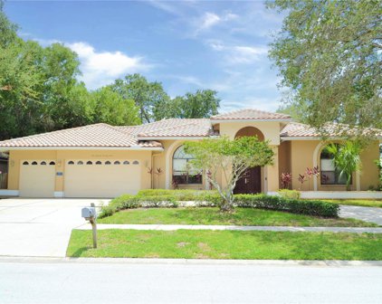 3077 Doxberry Court, Clearwater