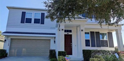 12749 Garridan Avenue, Windermere