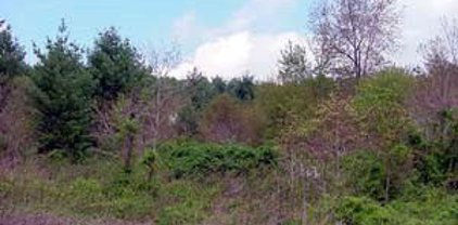 Grandview/Tayson Rd Drive, Sparta