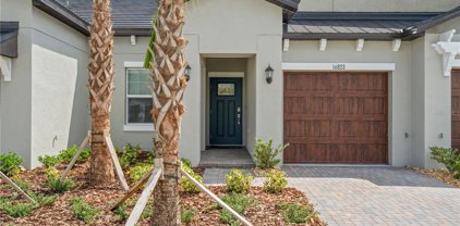 16822 Forge Surf Street, Land O' Lakes