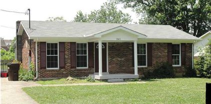 241 Winchester Dr, Mt Washington