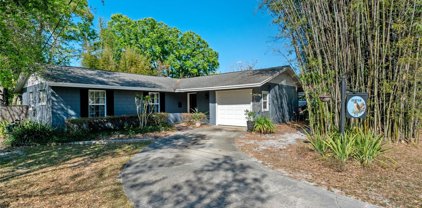 315 Banyan Drive, Maitland