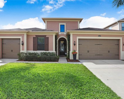 2616 Milford Berry Lane, Tampa
