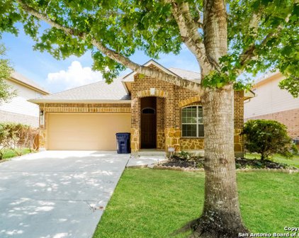 3025 Muntjac St, Schertz