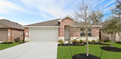 15159 Prairie Mill Drive, New Caney