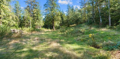 1 Lake Umek Rd, Ravensdale