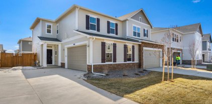 4466 Haymill Ct, Timnath