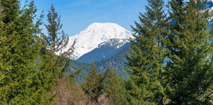 Highway 12, Packwood