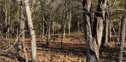 (Lot 22) Whitbeck Lane, Bella Vista