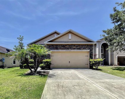 13243 Waterford Castle Drive, Dade City
