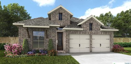 320 Kimble Creek Loop, Kyle