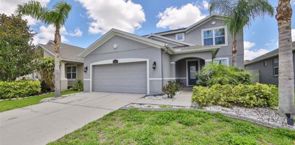 12102 Whistling Wind Drive, Riverview
