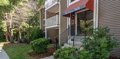 50 Silver Hill Ln Unit 9, Natick