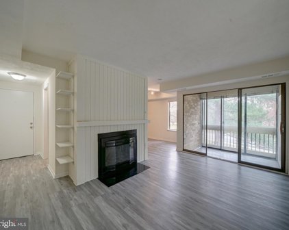 10580 Cross Fox Ln Unit #C-2, Columbia