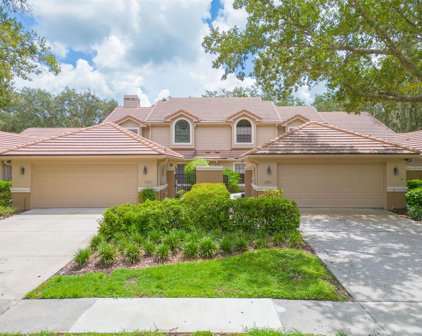 17557 Fairmeadow Drive, Tampa