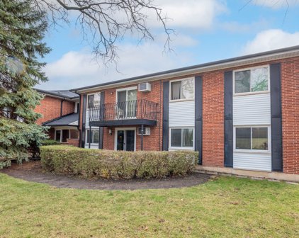 2403 E Olive Street Unit #1L, Arlington Heights
