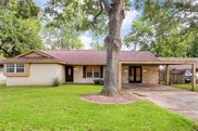 10939 Britt Way, Houston image