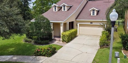 14363 Red Cardinal Court, Windermere