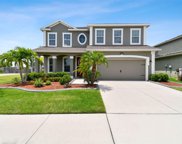 11010 Spring Point Circle, Riverview image