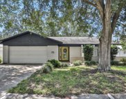 1344 Homestead Drive, Palm Harbor image