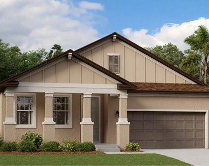 17246 Mango Shay Court, Land O' Lakes